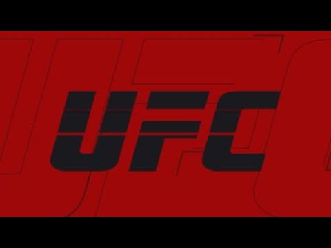 Fri Kamel | UFC 2