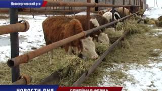 Семейная ферма