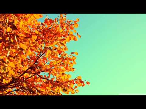 Deep in Vocal Euphoria with Elucidate Ft. Dyloot - 03 - October 2006 - HD