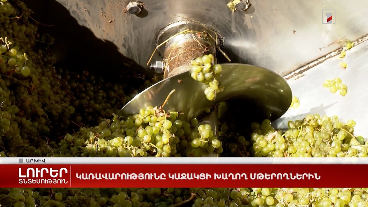 Կառավարությունը կաջակցի խաղող մթերողներին