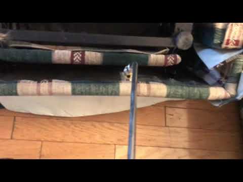 Don't Let the Name Bed Bug Confuse You