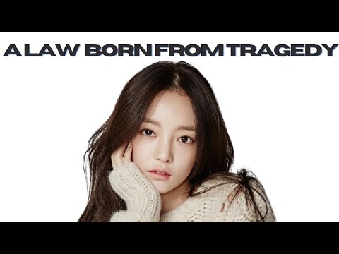 The Goo Hara Law: How One K-Pop Star Changed South Korea Forever