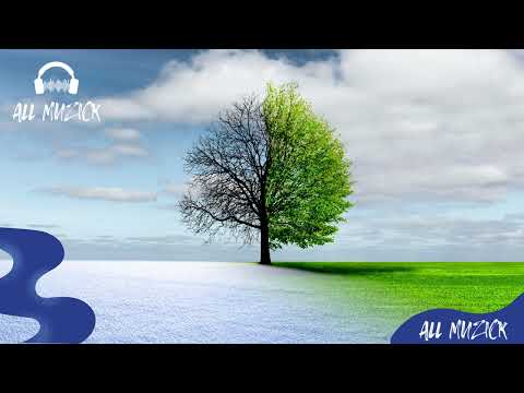 IDWW - Chris Shorooi | AllMuzick