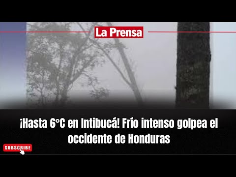 ¡Hasta 6°C en Intibucá! Frío intenso golpea el occidente de Honduras