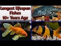 Long Life Fish For Home Aquarium