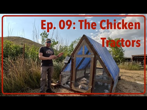 Ep  09 The Chicken Tractors