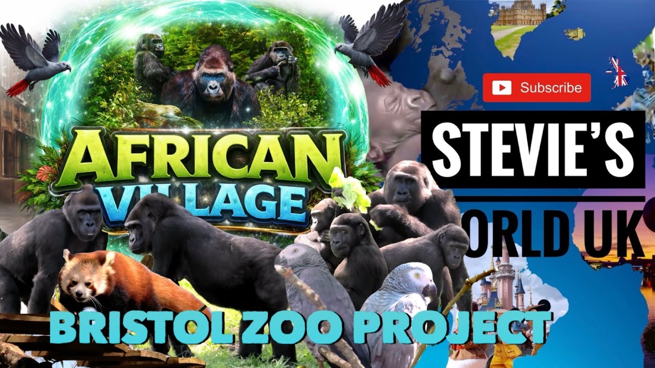 BRISTOL ZOO PROJECT’S NEW AFRICAN VILLAGE & GORILLAS INCREDIBLE NEW HOME