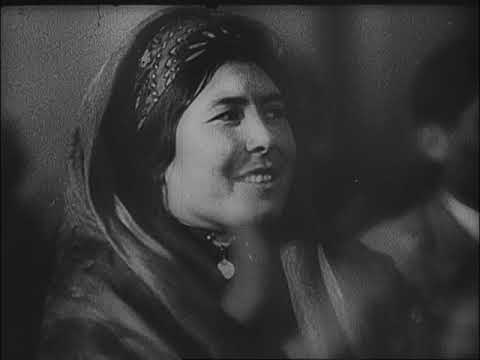 Sonderbericht zum Tode Stalins (Der Augenzeuge 11/1953)