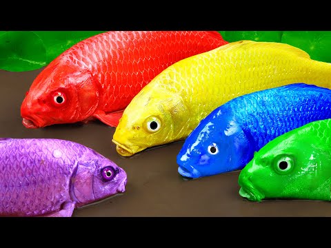 Stop Motion Satisfying | Colorful Carp Trap Infected with Viruses Underground Experiment ASMR Funny