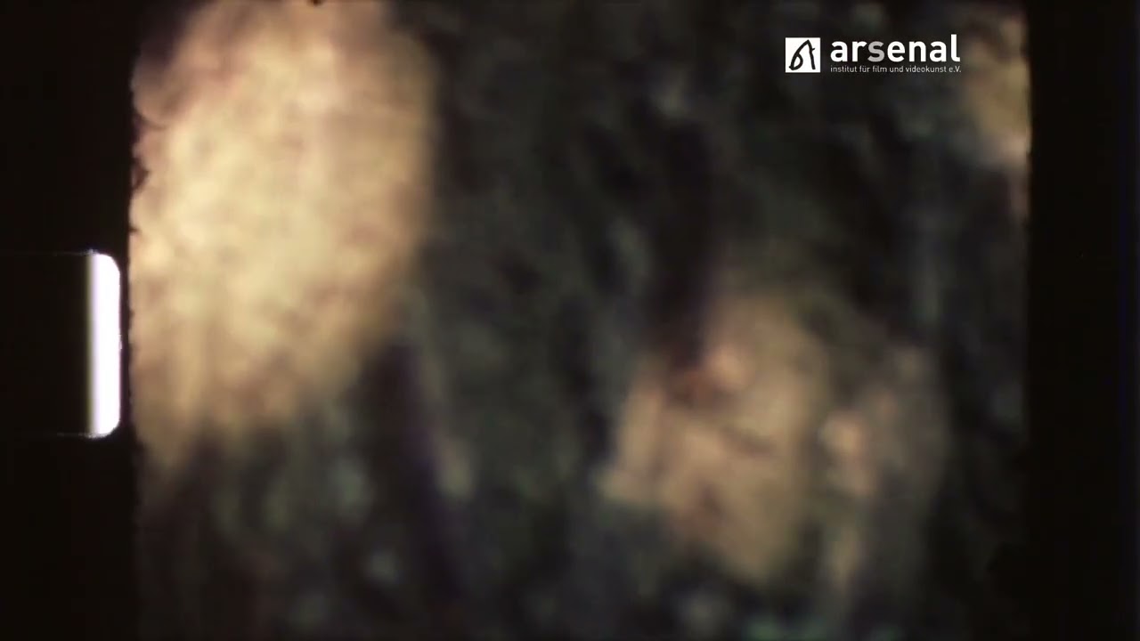 In A Tree’s Shadow (1996)