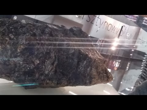 The largest piece of amber ever found (since 2022.VII)