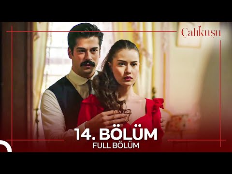 Çalıkuşu 14. Bölüm