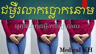 ជម្ងឺរលាកប្លោកនោម_Cystitis part 03