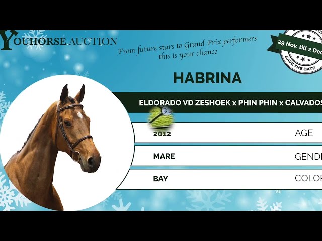 Habrina showvideo grass Valkenswaard