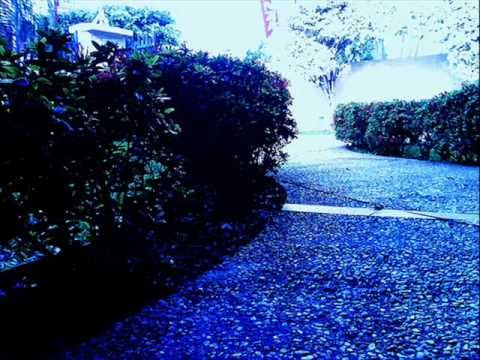 N.G.S (Nos Gusta el Sexo) - Azul al caminar (With Lyrics)