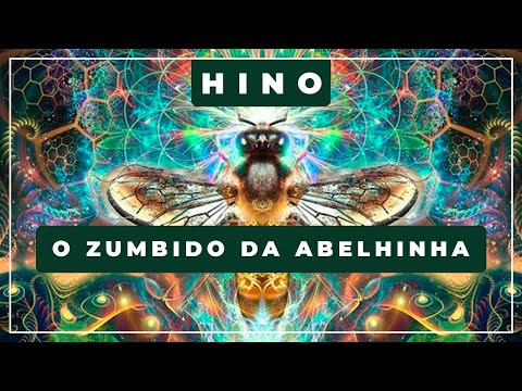 🎼 O Zumbido da Abelhinha 🌞 Reinado do Sol ✝️ Santo Daime
