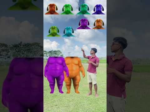 Blue & yellow colour fatty dog vs me correct head matching with tu radha meri main songs 😆😆#shorts