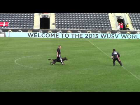 2013 WUSV Helmut Huber and Hank vom Weinbergblick 97c - Germany