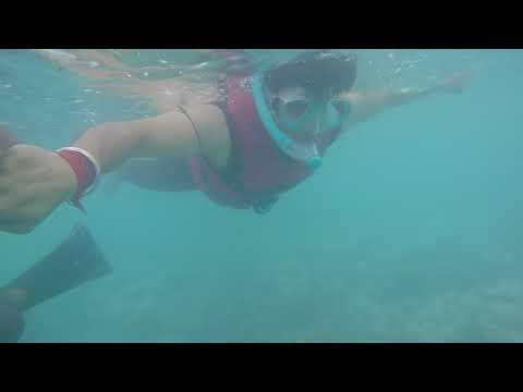 Snorkeling, Gan island, Maldives