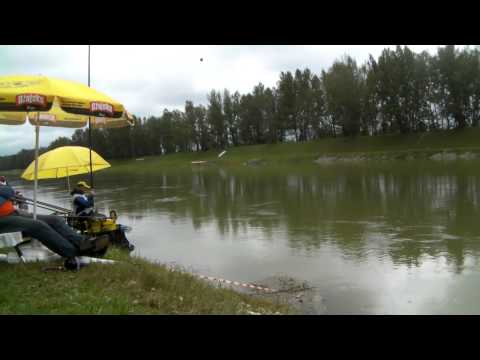 61st Coarse Angling World Championship - Walsh Vincent - Ireland