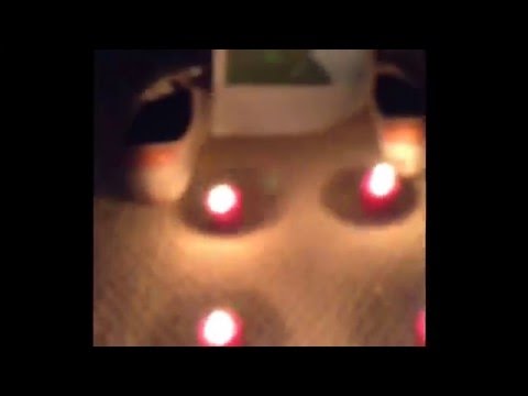 THE DANKEST, RAREST, MOIST, PEPE