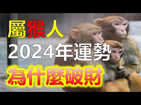 屬猴招財
