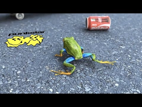 fish narc - BOREDOM (official video)