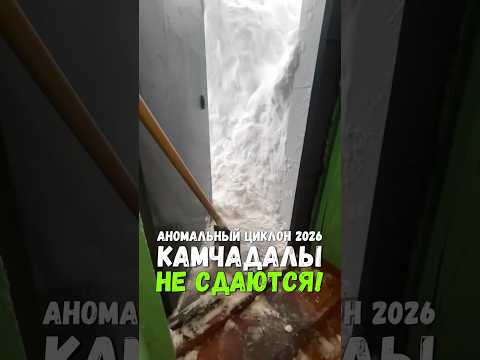 Вот куда нужно ехать за снегом! #AnnaVolkova #Единство #камчатка #циклон #снег