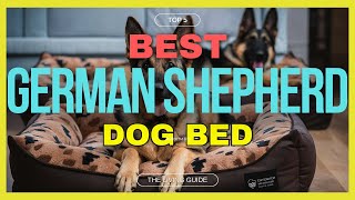 🔥 Best Dog Bed for German Shepherds in 2024 ☑️ TOP 5 ☑️