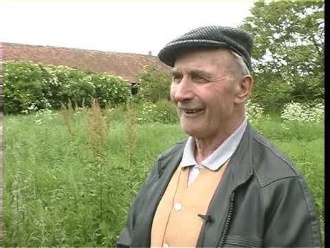 Esterházy-puszta | JTV Arhív | 2004