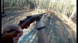 Revelation Model 350 12 Gauge Single Barrel 36 Long Tom