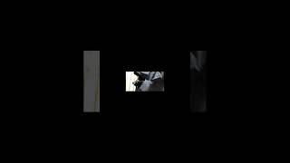 【#TheBeginning】【#ワンオク】【#shorts】【#永久機関】#完全感覚Dreamer プロフよりYouTube へ飛べます！#ワンオク #ワンオク好きと繋がりたい #ワンオクロック