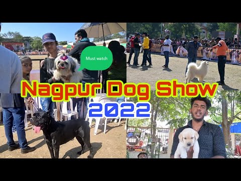 Nagpur Dog show 2022 🐶 | Dog training | Puppies |Pets Vlog