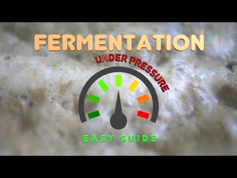 Fermentation Under Pressure Easy Guide