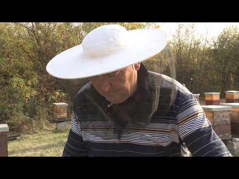 Boja meda ep. 86 29.10.2019. NAJAVA