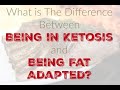 Ketosis vs Fat adaptation-there is a difference.
