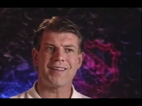 Stanley Cup Champions 1996  Colorado Avalanche