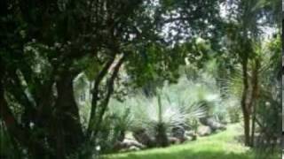 Abba - You owe me one