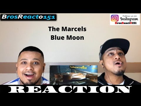 FIRST TIME HEARING | The Marcels - Blue Moon | REACTION