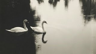 Yiğit Seferoğlu - Kendimi Bulamıyorum (Sözleri)