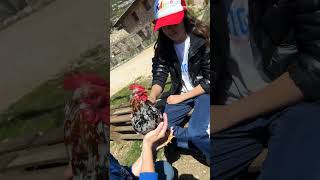 Resumen de nuestra visita al Zoo del Pirineu marzo 2024
