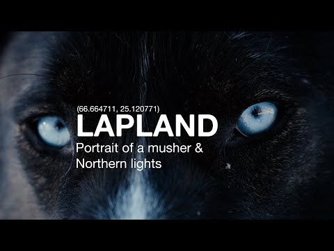 LAPONIE - Portrait d’un musher et chasse aux aurores boréales (short documentary)
