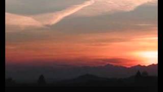 Life - Elvis Presley (Sottotitolato)