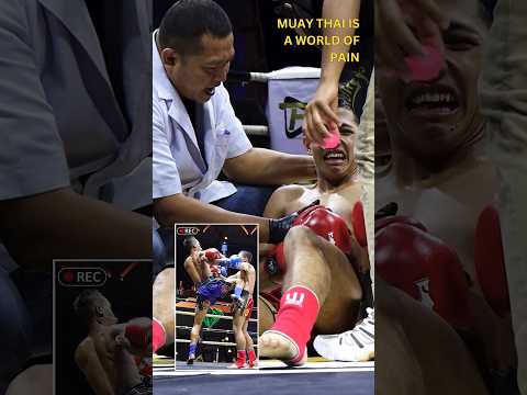 Muay Thai Is A World Of Pain ✨