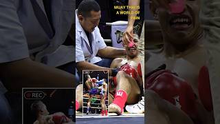 Download lagu Muay Thai Is A World Of Pain ✨ mp3 Download lagu Muay Thai Is A World Of Pain ✨ mp3