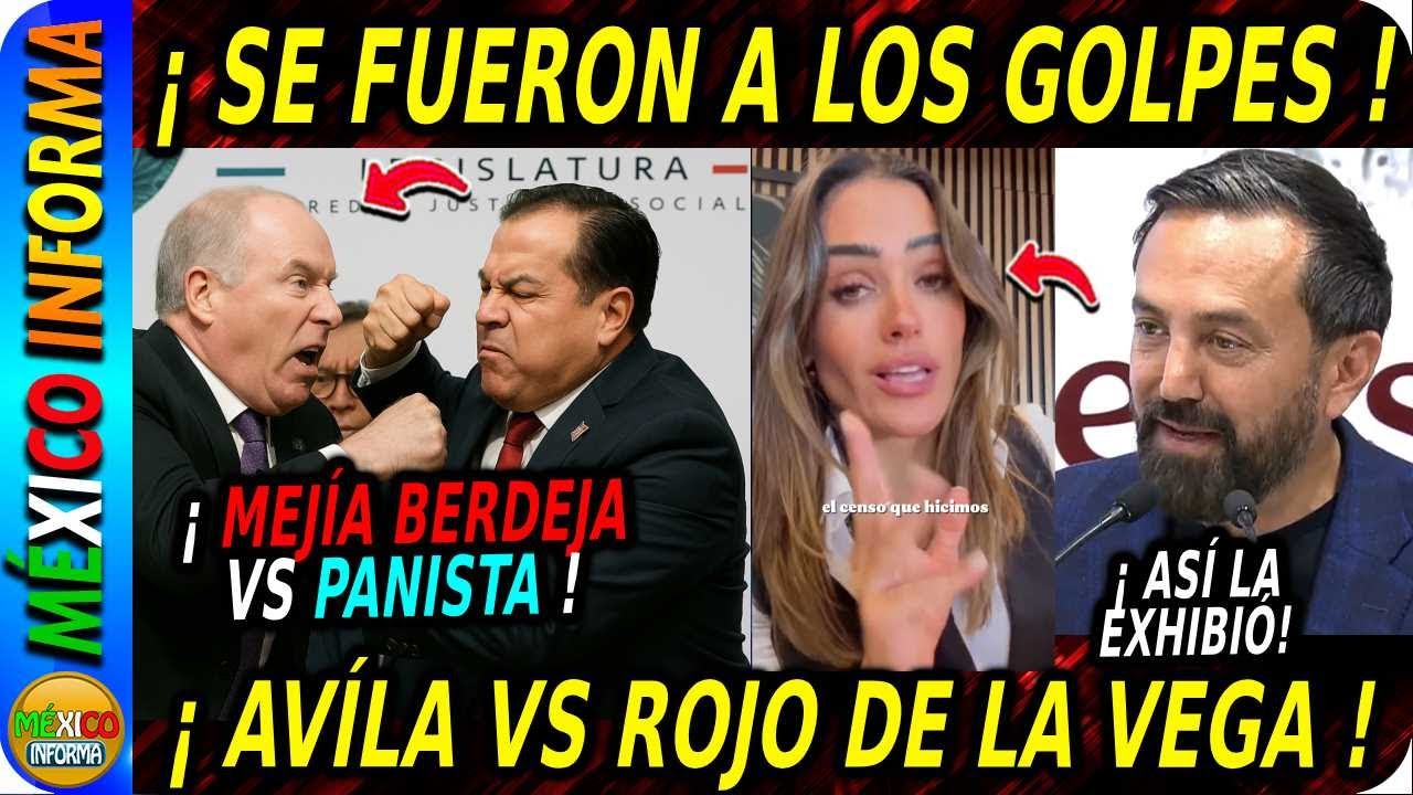 SE FUERON A LOS G0LPES. AGARRÓN ENTRE MEJÍA BERDEJA Y PANISTA. AVILA VS ROJO DE LA VEGA.