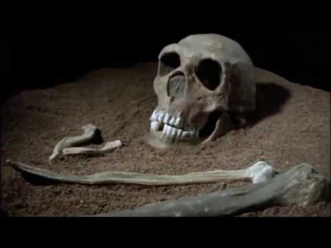 Neandertalczyk cały film Lektor PL hq