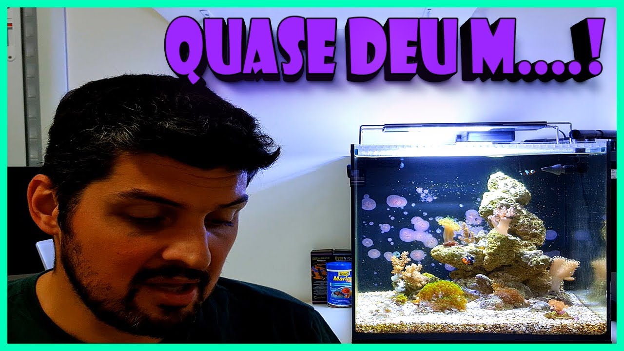 QUASE M4T3I MEU AQUÁRIO!