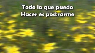 LC   Mi Pan Mi Luz   MARCOS WITT