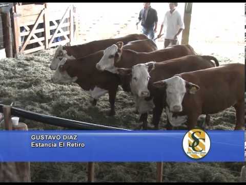 GUSTAVO DIAZ  - Garruchos Agropecuaria - Los Murmullos - Buena Esperanza - 30/11/2013